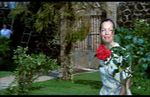 DVD_141