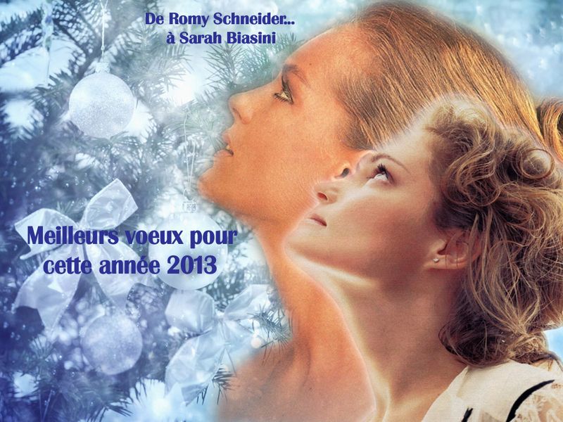 Bonne année 2013