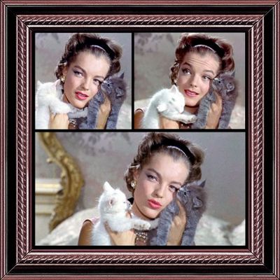 2016-01-08 - Boccace 70