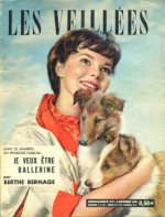 1960-09-03 - Les Veillées - N 312