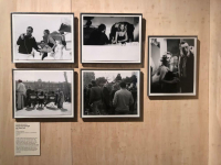 Exposition-romy-schneider-a-la-cinematheque-francaise-de-paris-vue-de-lexposition-4-3200x0